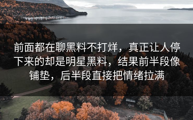 前面都在聊黑料不打烊，真正让人停下来的却是明星黑料，结果前半段像铺垫，后半段直接把情绪拉满