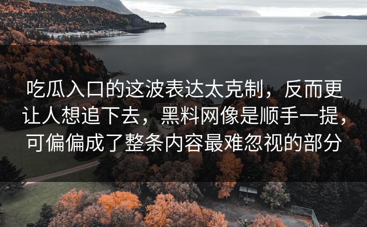 吃瓜入口的这波表达太克制，反而更让人想追下去，黑料网像是顺手一提，可偏偏成了整条内容最难忽视的部分