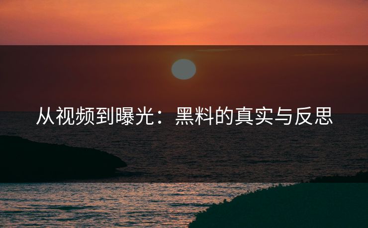 从视频到曝光:黑料的真实与反思