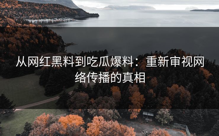 从网红黑料到吃瓜爆料:重新审视网络传播的真相