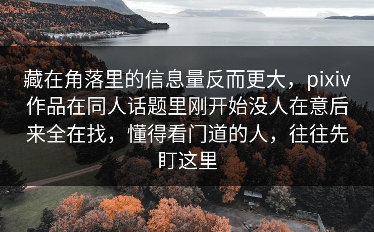 藏在角落里的信息量反而更大,pixiv作品在同人话题里刚开始没人在意后来全在找,懂得看门道的人,往往先盯这里