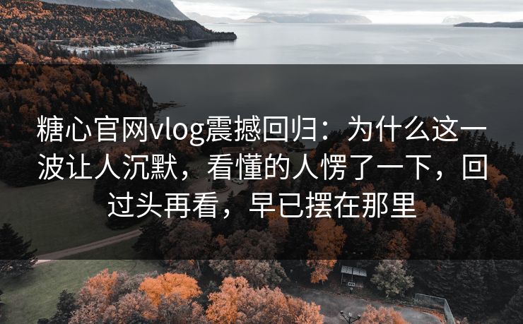 糖心官网vlog震撼回归:为什么这一波让人沉默,看懂的人愣了一下,回过头再看,早已摆在那里