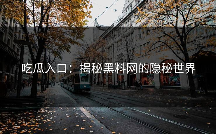 吃瓜入口:揭秘黑料网的隐秘世界