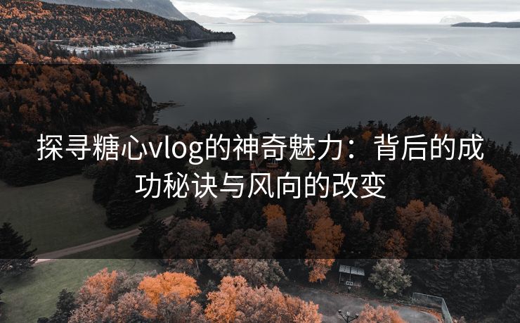 探寻糖心vlog的神奇魅力:背后的成功秘诀与风向的改变