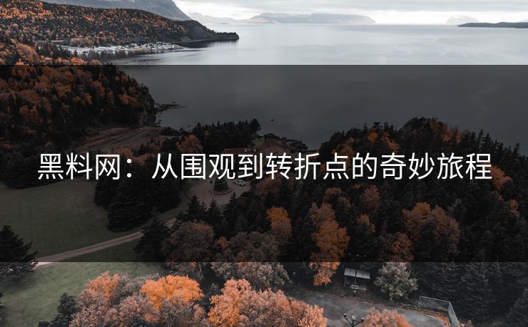 黑料网:从围观到转折点的奇妙旅程