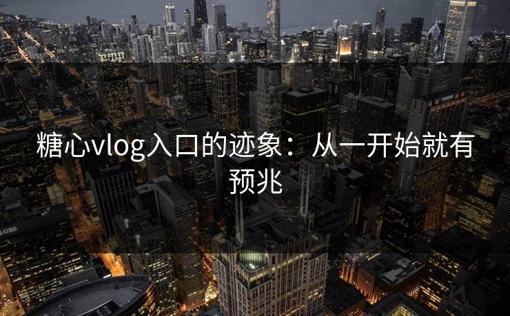 糖心vlog入口的迹象:从一开始就有预兆