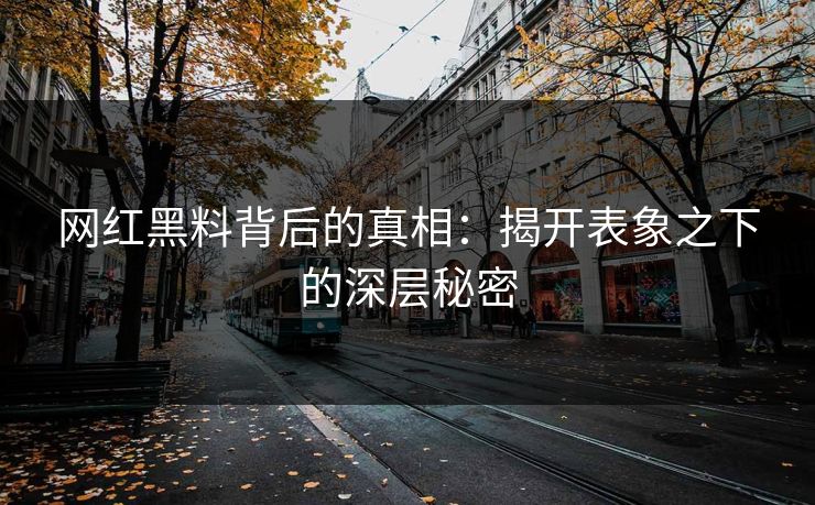 网红黑料背后的真相:揭开表象之下的深层秘密