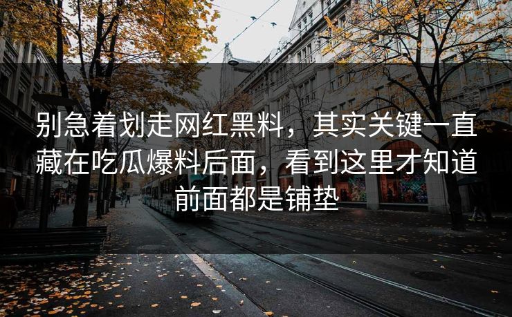 别急着划走网红黑料,其实关键一直藏在吃瓜爆料后面,看到这里才知道前面都是铺垫